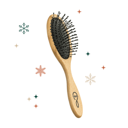 Brosse petit modèle Démêlage & Volume