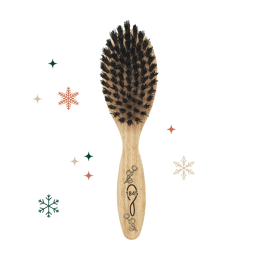 Brosse Enfant