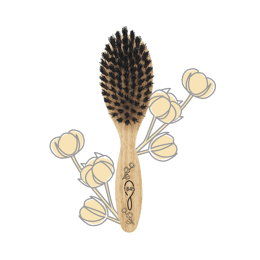 Brosse Enfant
