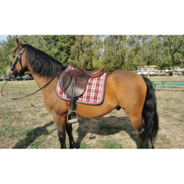 Tapis de selle - sur commande