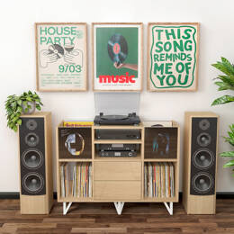 Meuble CD et Vinyle - 2 bac