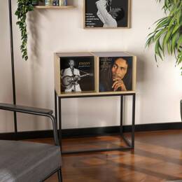 Meuble disquaire 2 bacs