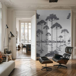 Papier peint panoramique paysage noir et blanc – Planicie