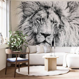 Papier peint tête d'un lion, nature – Lion