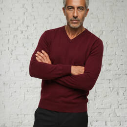 Pull Col V Homme Bordeaux Merinos-cachemire - César