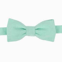 Nœud papillon Vert d'eau