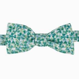 Nœud papillon Liberty Lucky
