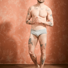 Slip confort Coton BIO - Gris - Terracotta - Homme