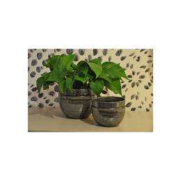 Petit pot rond profond Austral Gris, Vert et Kaki - Jungle