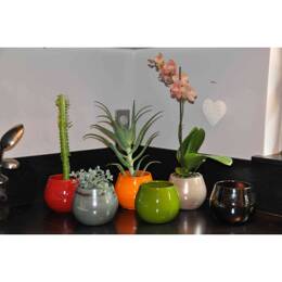Mini Cancale Petit pot en terre cuite rond et large en forme de U Mix
