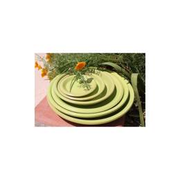 Soucoupe Terre d'Amazonie D22