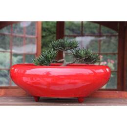 Coupe ronde sur pieds pour bonsaï et jardins zen - Kyoto Rouge