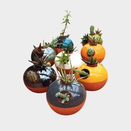 Petit pot coloré rond pour mini plantes Terracotta - Ligne d’exception