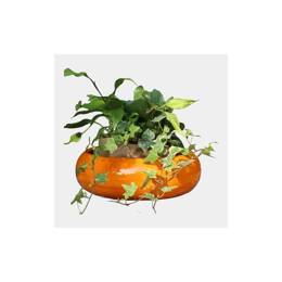 Coupe vasque basse lisse et brillante émaillée main Plume Orange S