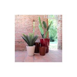 Grand pot haut et droit - Sydney Chocolat & Cerise Noire