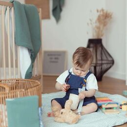 Poupées et figurines, Eveil de bébé : jouets, veilleuses, parcs, tapis  d'éveil : Aubert