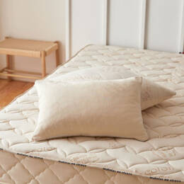 Oreiller naturel bio 60x40 en latex et laine bio - Matelas No Stress