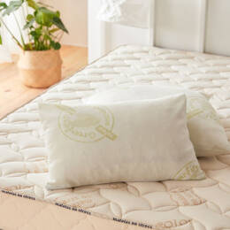 Oreiller 40x60 traité Anti acarien Greenfirst - Matelas No Stress