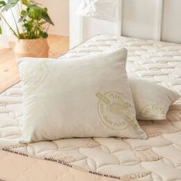 Oreiller traité Antiacarien Greenfirst 60x60 - Matelas No Stress