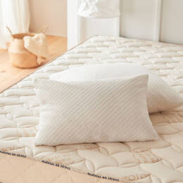 Oreiller 65x65 Luxe haut de gamme Douceur