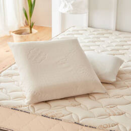 Oreiller latex 60x60 bambou - Matelas No Stress