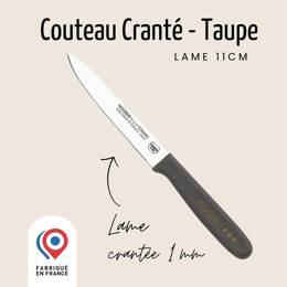 Couteau Tomate – Lame 11cm Crantée 1mm | Classic Polypro
