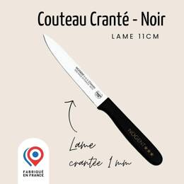 Couteau Tomate – Lame 11cm Crantée 1mm | Classic Polypro