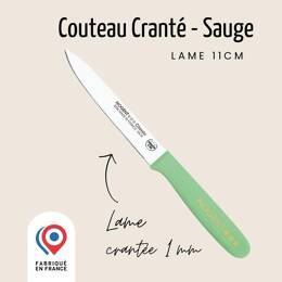 Couteau Tomate – Lame 11cm Crantée 1mm | Classic Polypro ~ Les Pastels