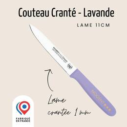 Couteau Tomate – Lame 11cm Crantée 1mm | Classic Polypro ~ Les Pastels