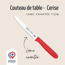 Couteau de table - Lame 11 cm crantée 3 mm | Classic Polypro
