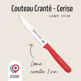 Couteau Tomate – Lame 11cm Crantée 1mm | Nogent Daily
