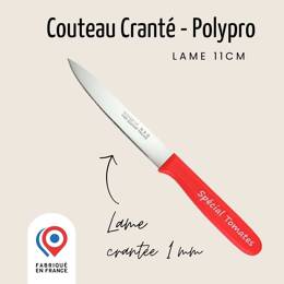 Couteau Spécial Tomate – Lame 11cm Crantée 1mm | Nogent Daily