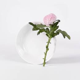 L'assiette creuse ronde en porcelaine de Limoges - Blanche