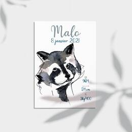 Affiche naissance Raton laveur