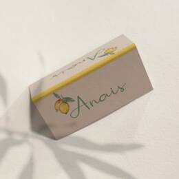 Porte-noms Collection Citron