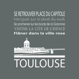 Tableau sur toile 30x30 cm - Tableau Toulouse gris - Impression sur toile murale décorative avec châssis en Bois - Fabriqué en France - Ceanothe