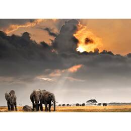 Tableau sur toile 45x65 cm - Tableau troupeau d'éléphants - Impression sur toile murale décorative avec châssis en Bois - Fabriqué en France - Ceanoth