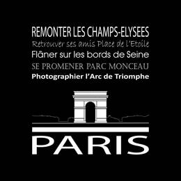 Tableau sur toile 30x30 cm - Tableau Paris Arc de Triomphe noir - Impression sur toile murale décorative avec châssis en Bois - Fabriqué en France - C