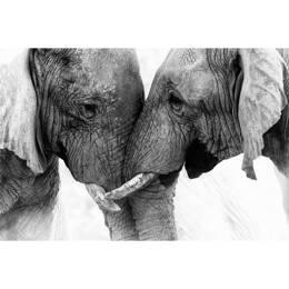 Tableau sur toile 65x97 cm - Tableau éléphants - Impression sur toile murale décorative avec châssis en Bois - Fabriqué en France - Ceanothe