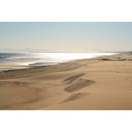 Tableau sur toile 45x65 cm - Tableau plage de Gruissan - Impression sur toile murale décorative avec châssis en Bois - Fabriqué en France - Ceanothe