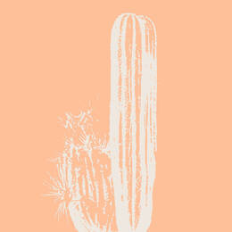Tableau sur verre 45x45 cm - Tableau cactus bohême - Impression sur verre à la finition brillante - Fabriqué en France - Ceanothe
