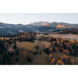 Tableau sur toile 45x65 cm - Tableau champ automnal - Impression sur toile murale décorative avec châssis en Bois - Fabriqué en France - Ceanothe