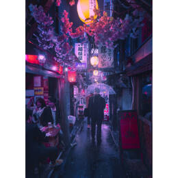 Tableau sur toile 30x45 cm - Tableau rue de Tokyo - Impression sur toile murale décorative avec châssis en Bois - Fabriqué en France - Ceanothe