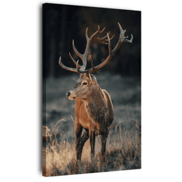 Tableau sur toile 30x45 cm - Tableau cerf sauvage - Impression sur toile murale décorative avec châssis en Bois - Fabriqué en France - Ceanothe