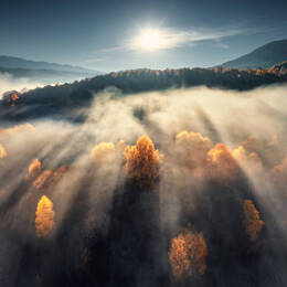 Tableau sur toile 90x90 cm - Tableau sur toile paysage coloré - Impression sur toile murale décorative avec châssis en Bois - Fabriqué en France - Cea