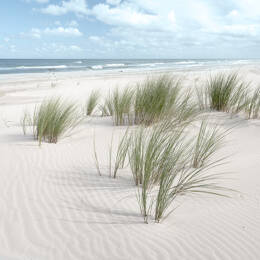 Tableau sur verre 30x30 cm - Tableau sur verre sandy beach vent - Impression sur verre à la finition brillante - Fabriqué en France - Ceanothe