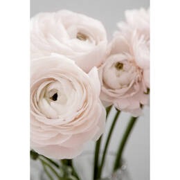 Tableau sur toile 65x97 cm - Tableau sur toile bouquet rose - Impression sur toile murale décorative avec châssis en Bois - Fabriqué en France - Ceano