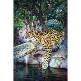 Tableau sur toile 65x97 cm - Tableau sur toile léopard dormant - Impression sur toile murale décorative avec châssis en Bois - Fabriqué en France - Ce