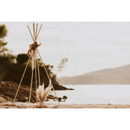 Tableau sur toile 45x65 cm - Tableau sur toile tipi pampa - Impression sur toile murale décorative avec châssis en Bois - Fabriqué en France - Ceanoth