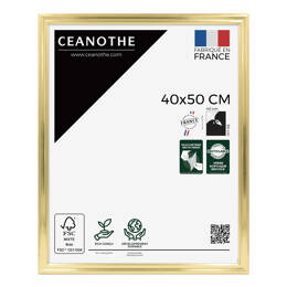 Cadre photo Julia doré 40x50 cm et 40x50 cm - Pour photo et poster A3 - Verre acrylique - Fabriqué en France - Ceanothe